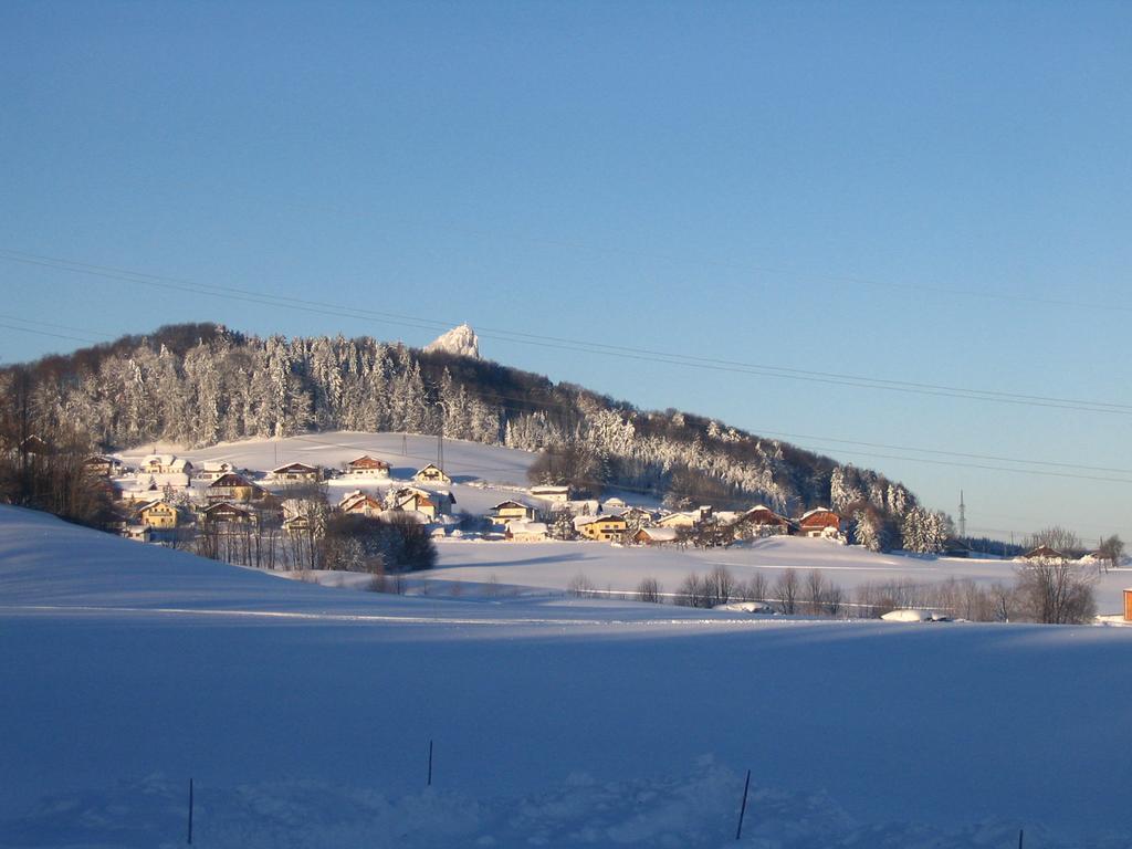 Pension Waldhof Koppl Exterior photo
